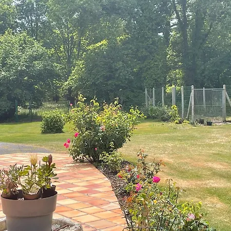 Vakantiehuis Serenite 8 - Vensac, Medoc *